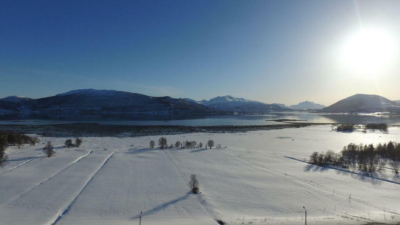 1 In The Yellow House, Close To Airport & Lofoten Privat bolig *