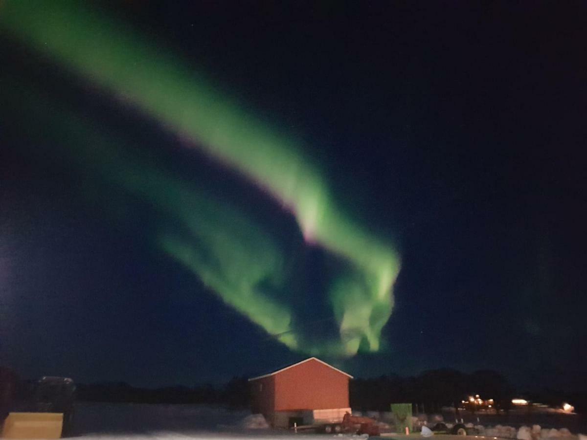 1 In The Yellow House, Close To Airport & Lofoten Homestay