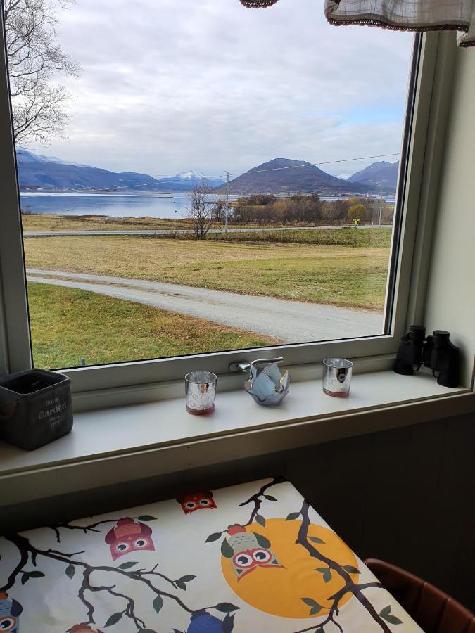1 In The Yellow House, Close To Airport & Lofoten * Evenskjer