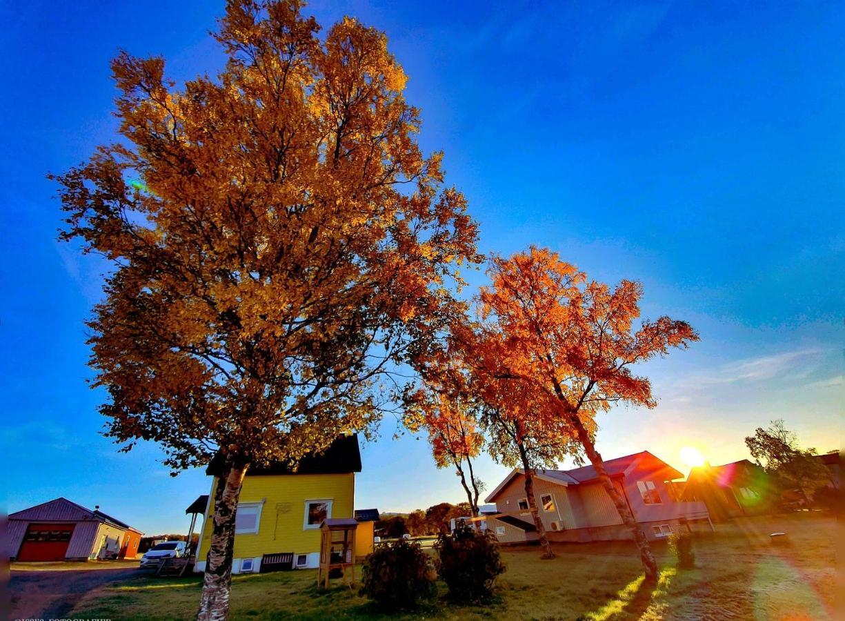 1 In The Yellow House, Close To Airport & Lofoten *