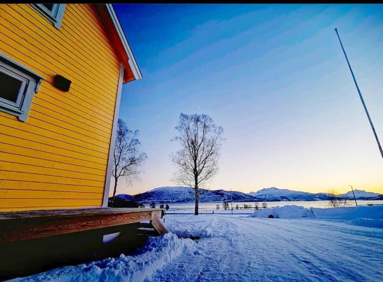 Homestay 1 In The Yellow House, Close To Airport & Lofoten